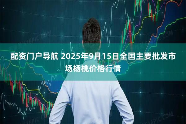 配资门户导航 2025年9月15日全国主要批发市场杨桃价格行情