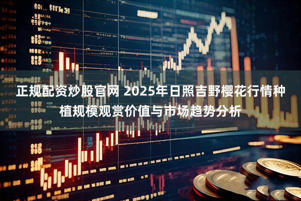 正规配资炒股官网 2025年日照吉野樱花行情种植规模观赏价值与市场趋势分析