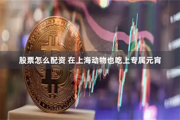 股票怎么配资 在上海动物也吃上专属元宵