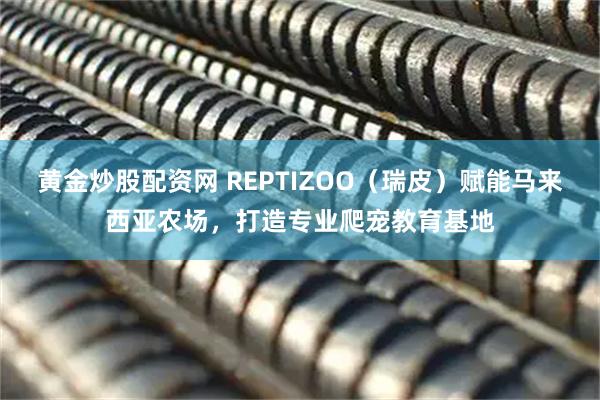 黄金炒股配资网 REPTIZOO（瑞皮）赋能马来西亚农场，打造专业爬宠教育基地