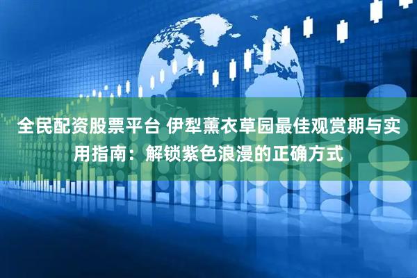全民配资股票平台 伊犁薰衣草园最佳观赏期与实用指南：解锁紫色浪漫的正确方式